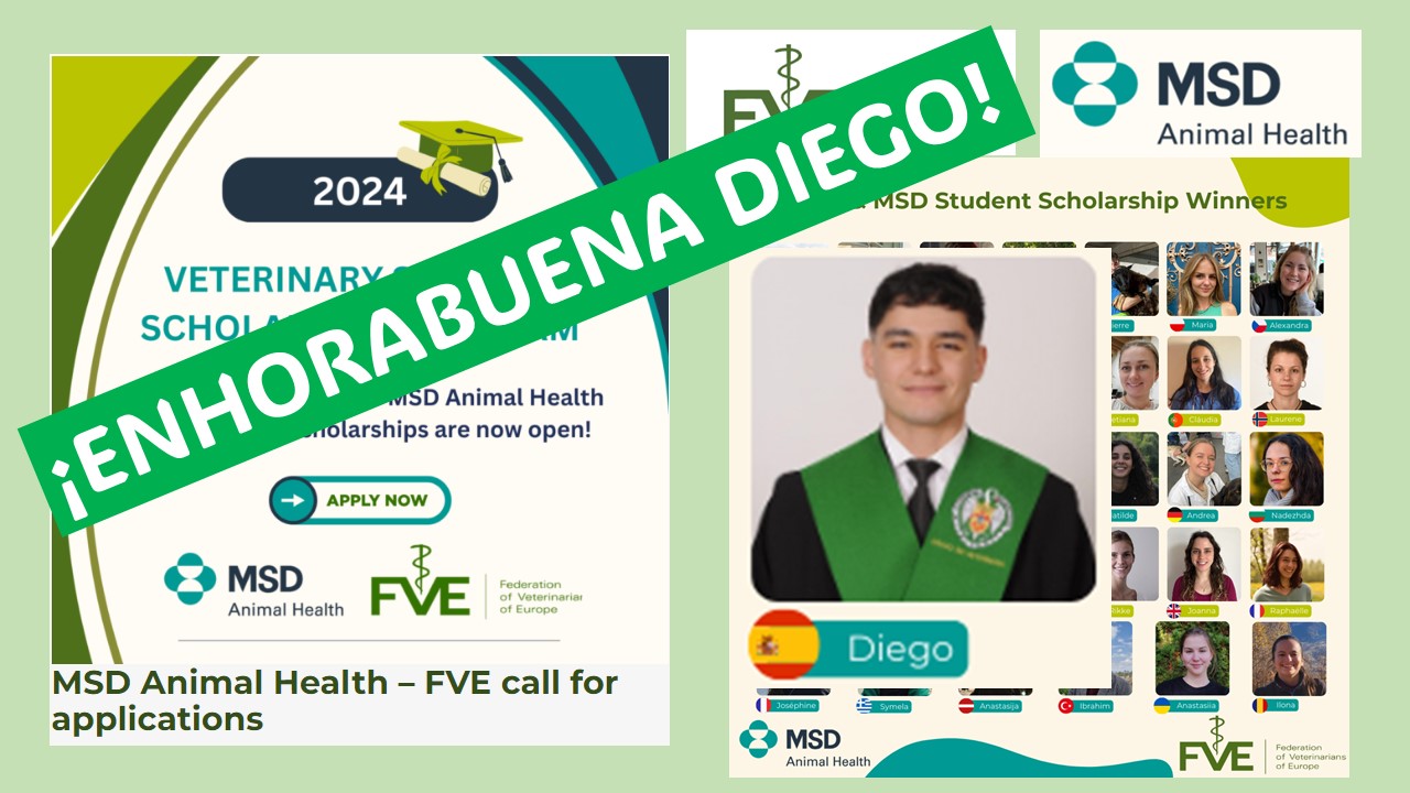 Diego Moreno Méndez de 5º curso, consigue la prestigiosa Beca MSD Animal Health and Veterinarians of Europe (FVE).